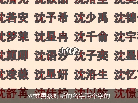 沈姓男孩好听的名字两个字的