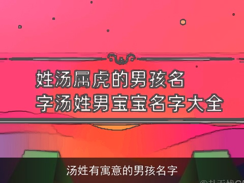 汤姓有寓意的男孩名字