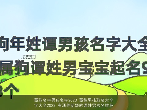 谭取名字男孩名字2023 谭姓男孩取名大全字大全2023 有涵养新颖的谭姓男孩名推荐