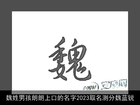 魏姓男孩朗朗上口的名字2023取名测分魏蓝锐
