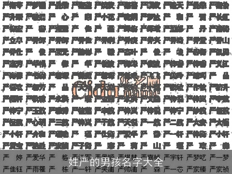 姓严的男孩名字大全