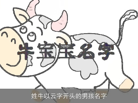 姓牛以云字开头的男孩名字
