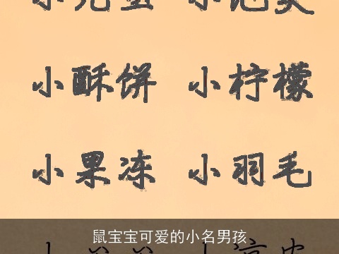 鼠宝宝可爱的小名男孩
