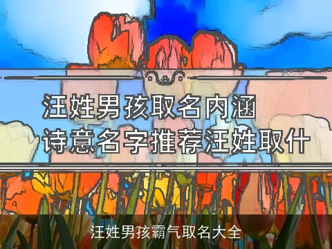 汪姓男孩霸气取名大全