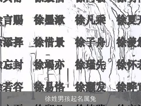 徐姓男孩起名属兔