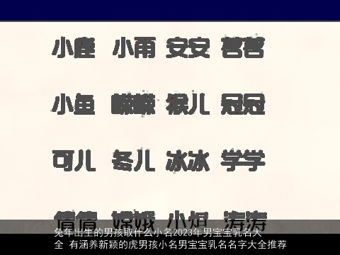 兔年出生的男孩取什么小名2023年男宝宝乳名大全 有涵养新颖的虎男孩小名男宝宝乳名名字大全推荐
