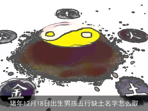 猪年12月18日出生男孩五行缺土名字怎么取