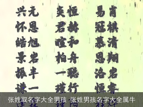 张姓取名字大全男孩 张姓男孩名字大全属牛