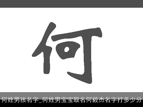 何姓男孩名字_何姓男宝宝取名何毅杰名字打多少分