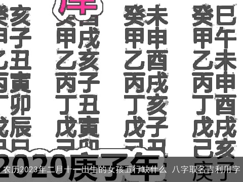 农历2023年二月十一出生的女孩五行缺什么 八字取名吉利用字
