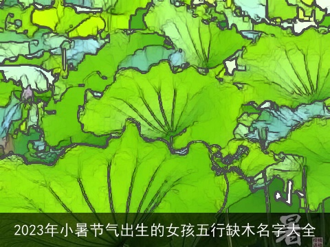 2023年小暑节气出生的女孩五行缺木名字大全