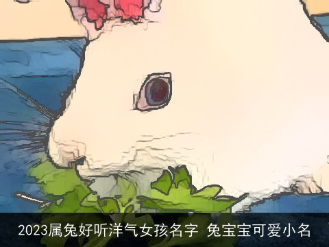 2023属兔好听洋气女孩名字 兔宝宝可爱小名