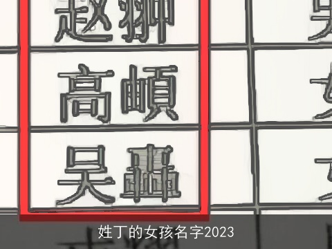 姓丁的女孩名字2023