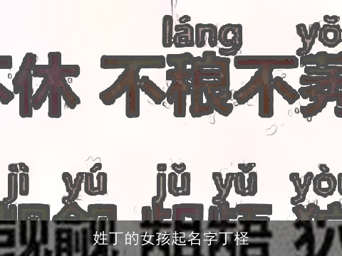 姓丁的女孩起名字丁柽