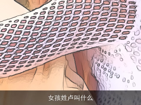 女孩姓卢叫什么