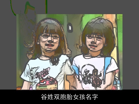 谷姓双胞胎女孩名字