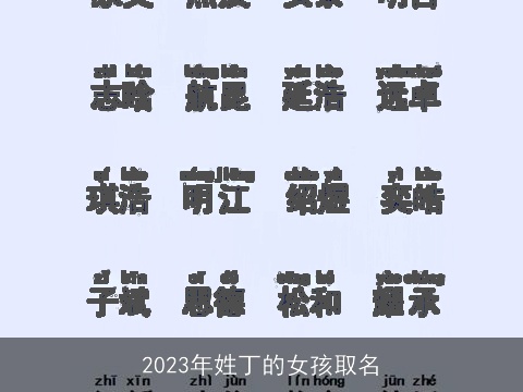 2023年姓丁的女孩取名