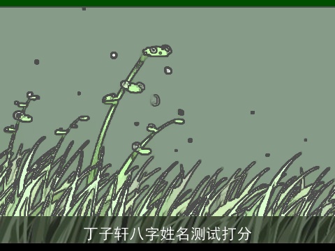 丁子轩八字姓名测试打分