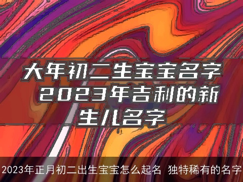 2023年正月初二出生宝宝怎么起名 独特稀有的名字
