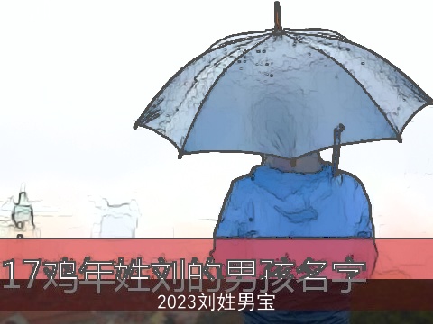 2023刘姓男宝