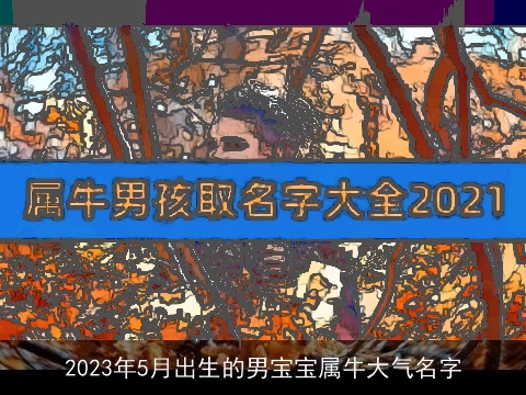 2023年5月出生的男宝宝属牛大气名字