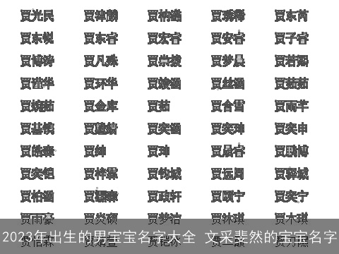 2023年出生的男宝宝名字大全 文采斐然的宝宝名字