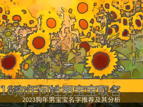 2023龙年男宝宝名字推荐及其分析