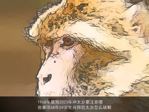 1968年属龙2023年冲太岁要注意哪些事项68年54岁生肖猴犯太岁怎么破解