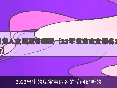 2023出生的兔宝宝取名的学问好听的