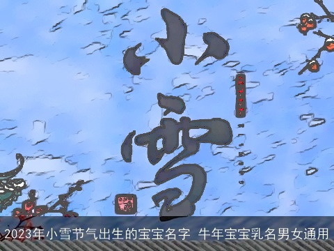 2023年小雪节气出生的宝宝名字 牛年宝宝乳名男女通用