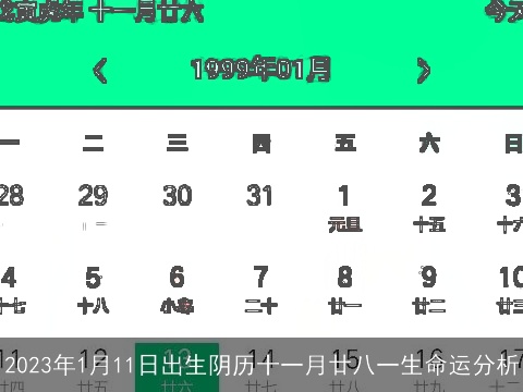 2023年1月11日出生阴历十一月廿八一生命运分析