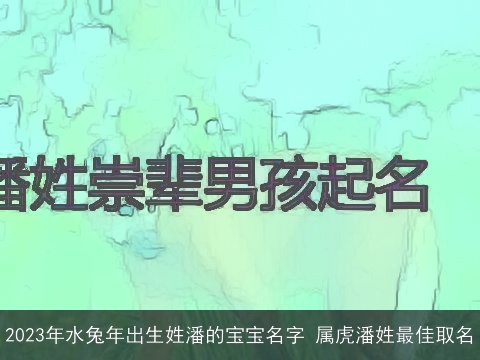 2023年水兔年出生姓潘的宝宝名字 属虎潘姓最佳取名