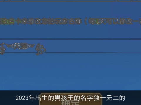 2023年出生的男孩子的名字独一无二的