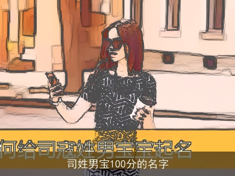 司姓男宝100分的名字