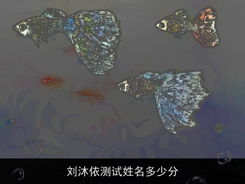 刘沐依测试姓名多少分