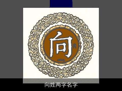 向姓两字名字