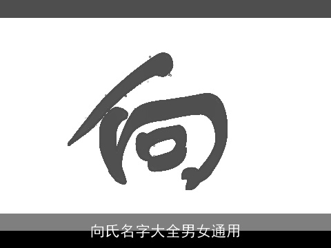 向氏名字大全男女通用