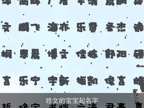 姓文的宝宝起名字
