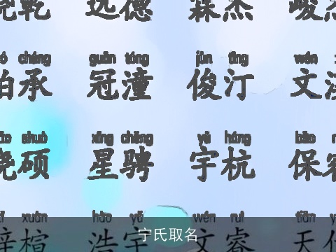 宁氏取名