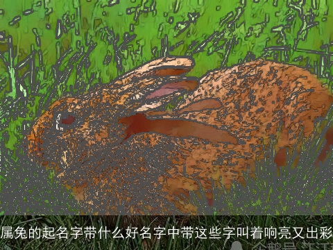 属兔的起名字带什么好名字中带这些字叫着响亮又出彩