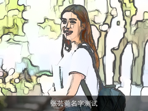 张芸菀名字测试