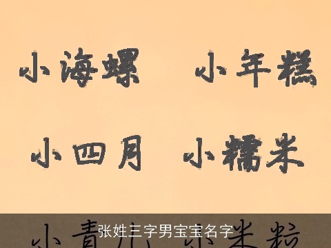 张姓三字男宝宝名字