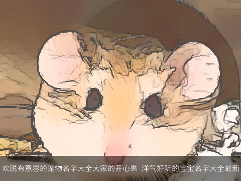 欢脱有意思的宠物名字大全大家的开心果 洋气好听的宝宝名字大全最新
