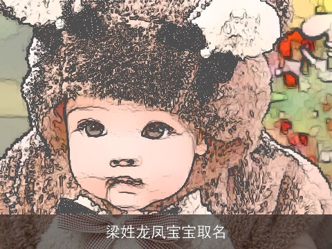 梁姓龙凤宝宝取名