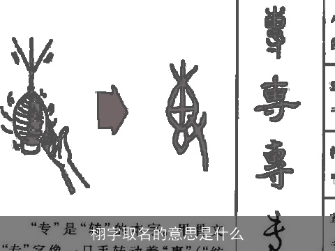 栩字取名的意思是什么