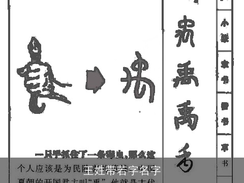 王姓带若字名字