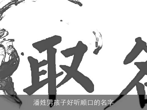 潘姓男孩子好听顺口的名字