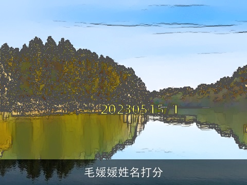 毛媛媛姓名打分