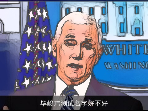 毕峻玮测试名字好不好