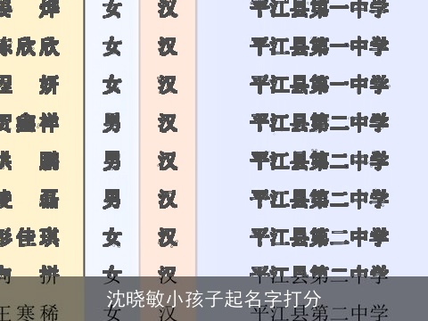 沈晓敏小孩子起名字打分
